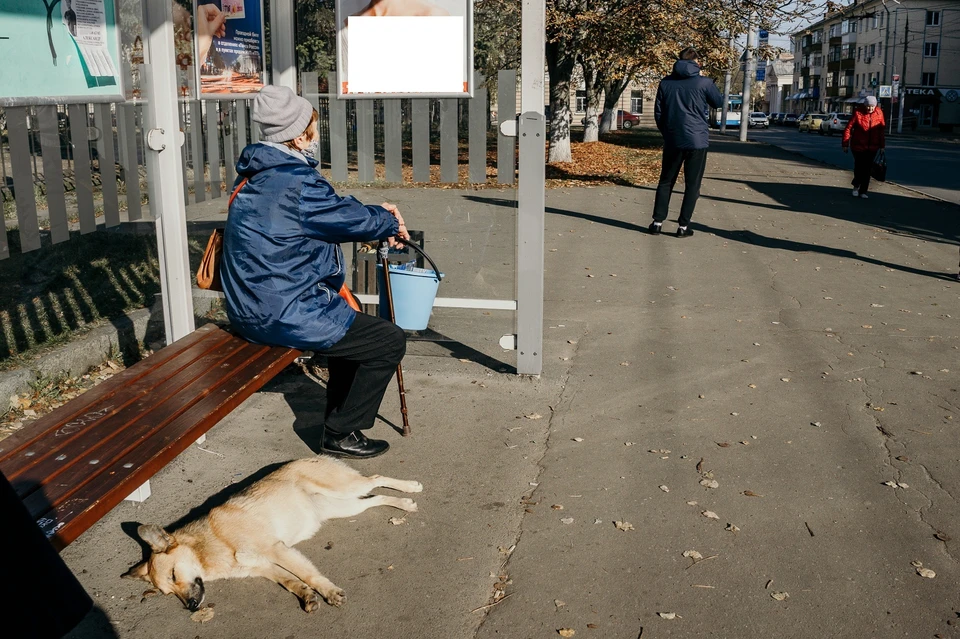 Приют для животных Минусинск. Зоозащитники.