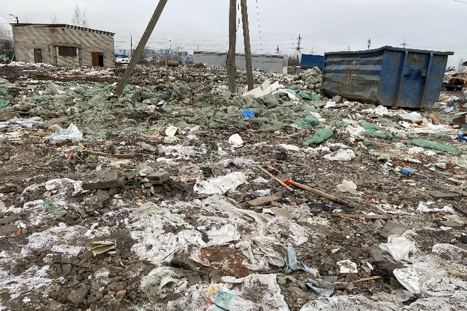 Огромную незаконную свалку нашли в Красногвардейском районе. Фото: комитет по природопользованию Санкт-Петербурга