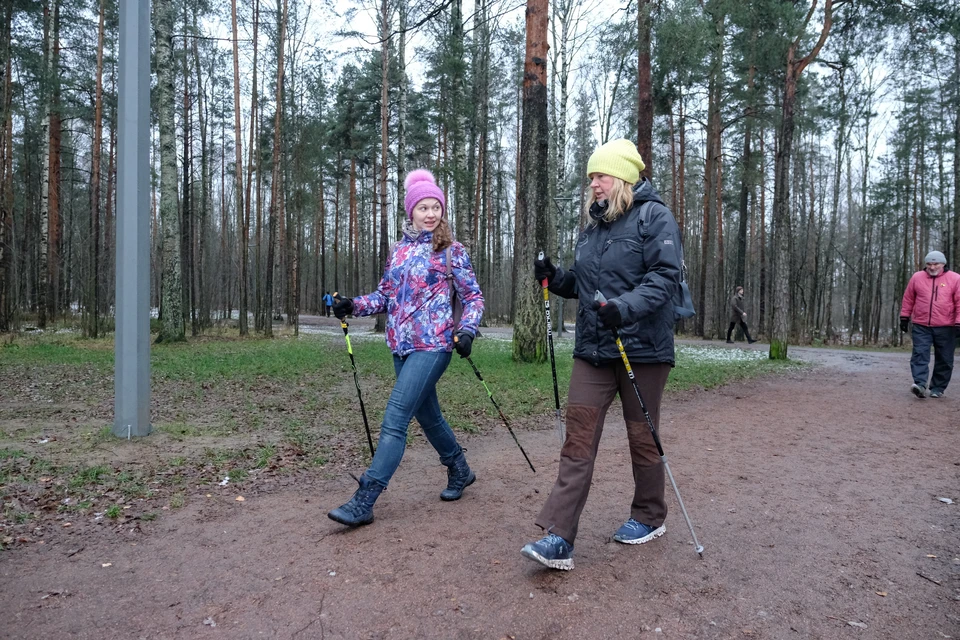 Палки для скандинавской ходьбы: как выбрать и использовать