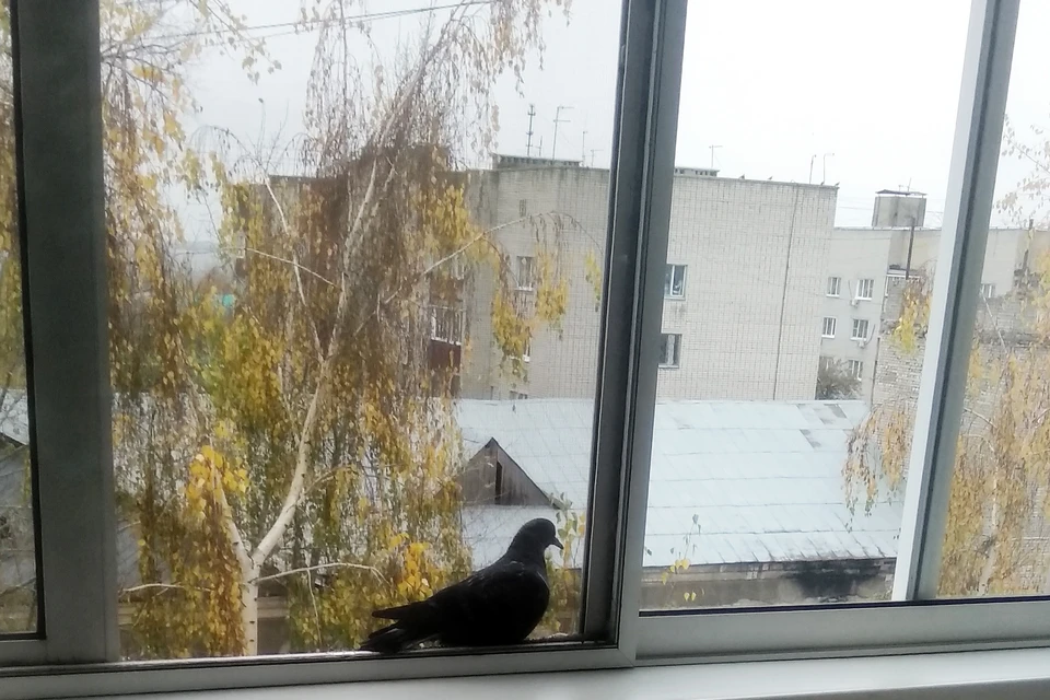В выходные в Липецке будет дождливо и тепло