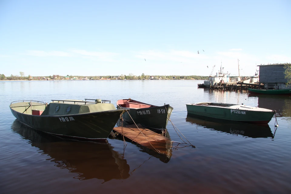 Лодка с рыбками перевернулась на озере в Ленинградской области