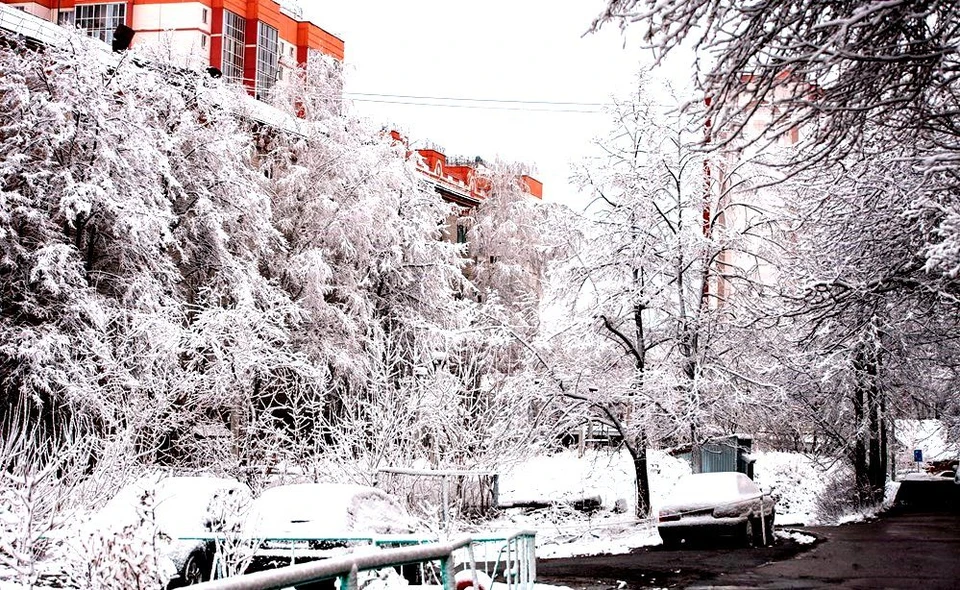 В Томской области зима входит в свои права