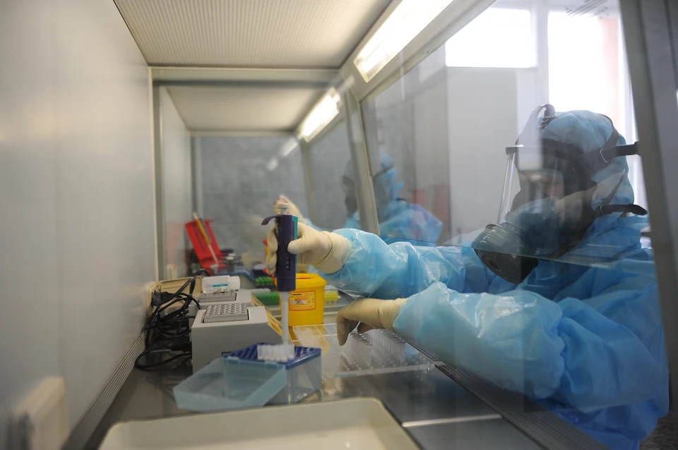 Почему тест на коронавирус может оказаться ложным, объяснила Попова