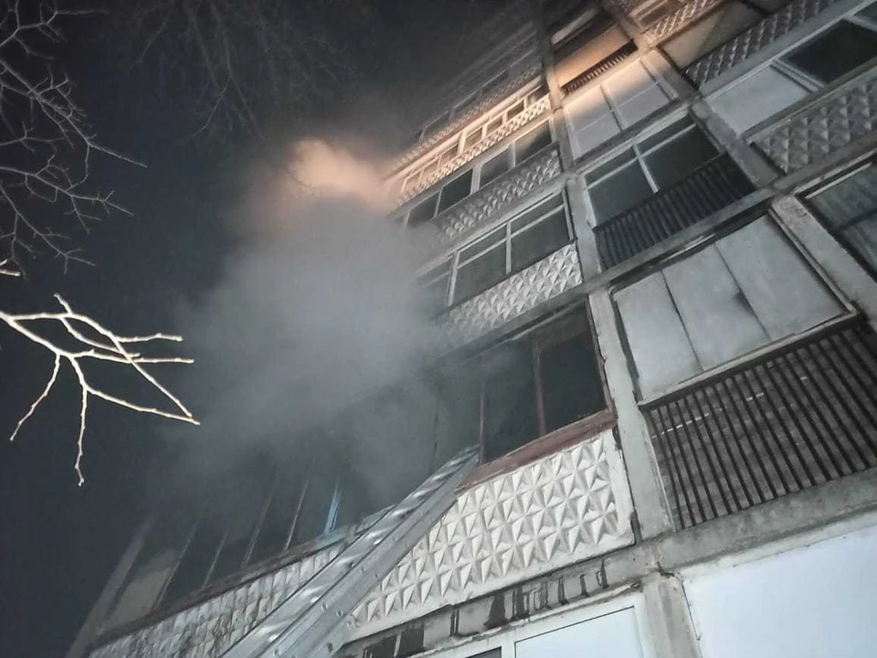 Орловский СК выясняет обстоятельства гибели пожилого мужчины в пожаре. Фото: ГУ МЧС России по Орловской области
