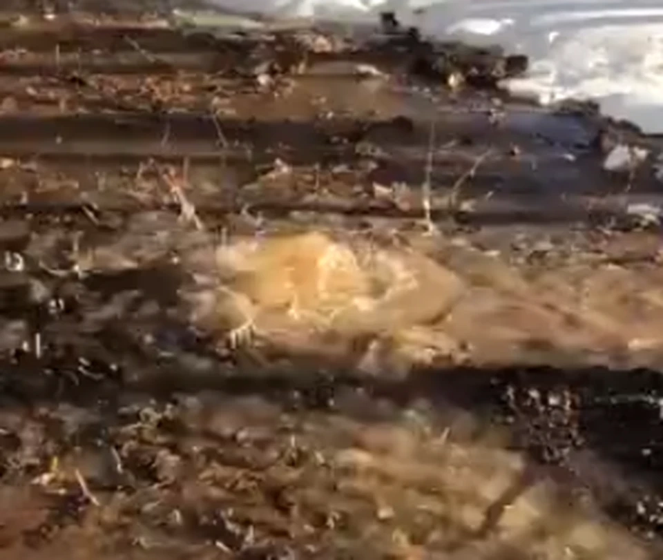 Скриншот видео, которое прислал очевидец в редакцию КП-Самара