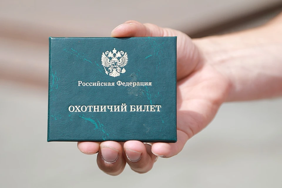 Проект сейчас готовится к согласованию