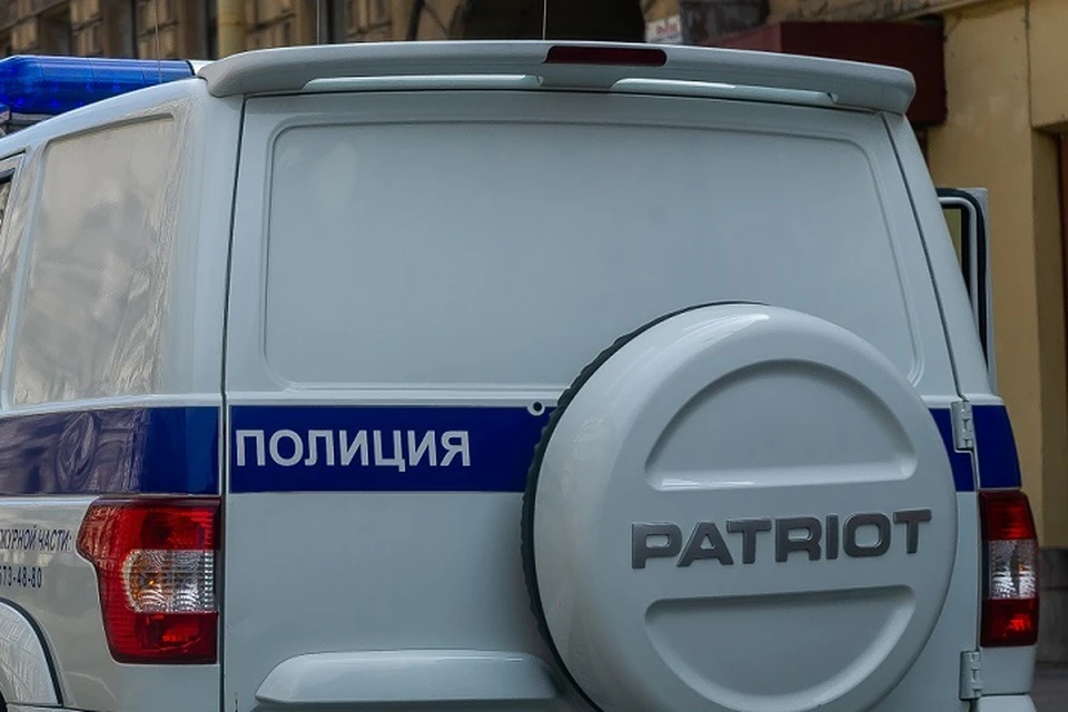 Полицейские по горячим следам раскрыли грабеж в Купчино.