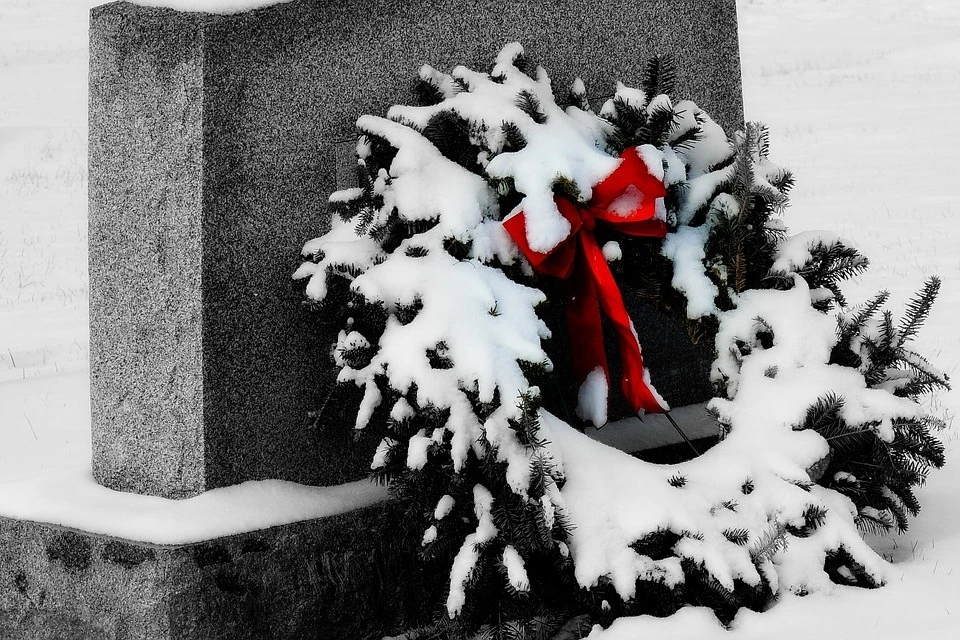 Фото с сайта pixabay.com