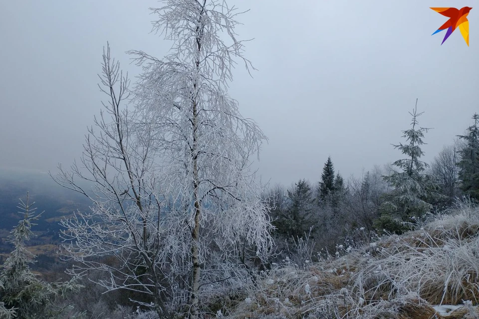 Декабрь в беларуси