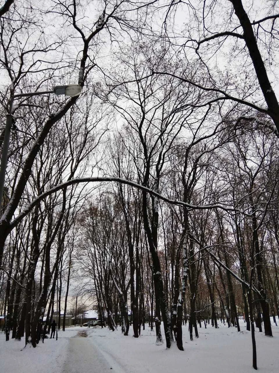 На следующей неделе белгородцев ожидает снежная и морозная погода.
