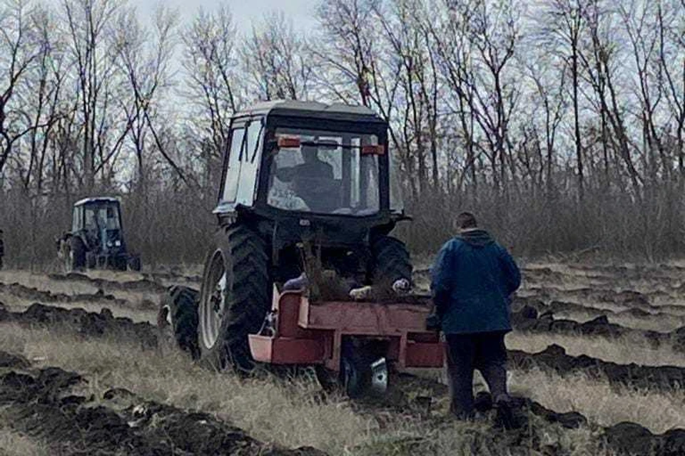 Посадка в черноземье. Ситовка Липецкая область. Введенка Липецкая область. Деревня наши дни Ситовка Тамбовская область 2023 год.