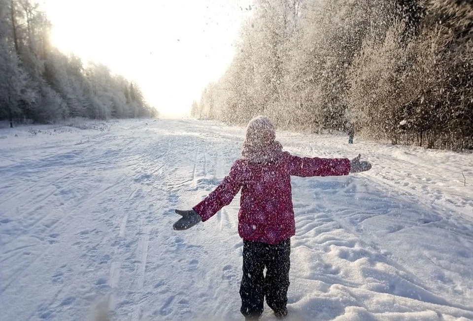 В ближайшие дни в Прикамье будет снежно и ветрено.