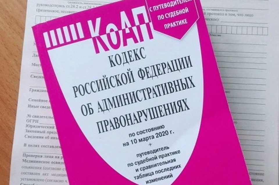 Родителям школьников, разбивших елочные украшения в селе Чугуевка, придется заплатить штраф