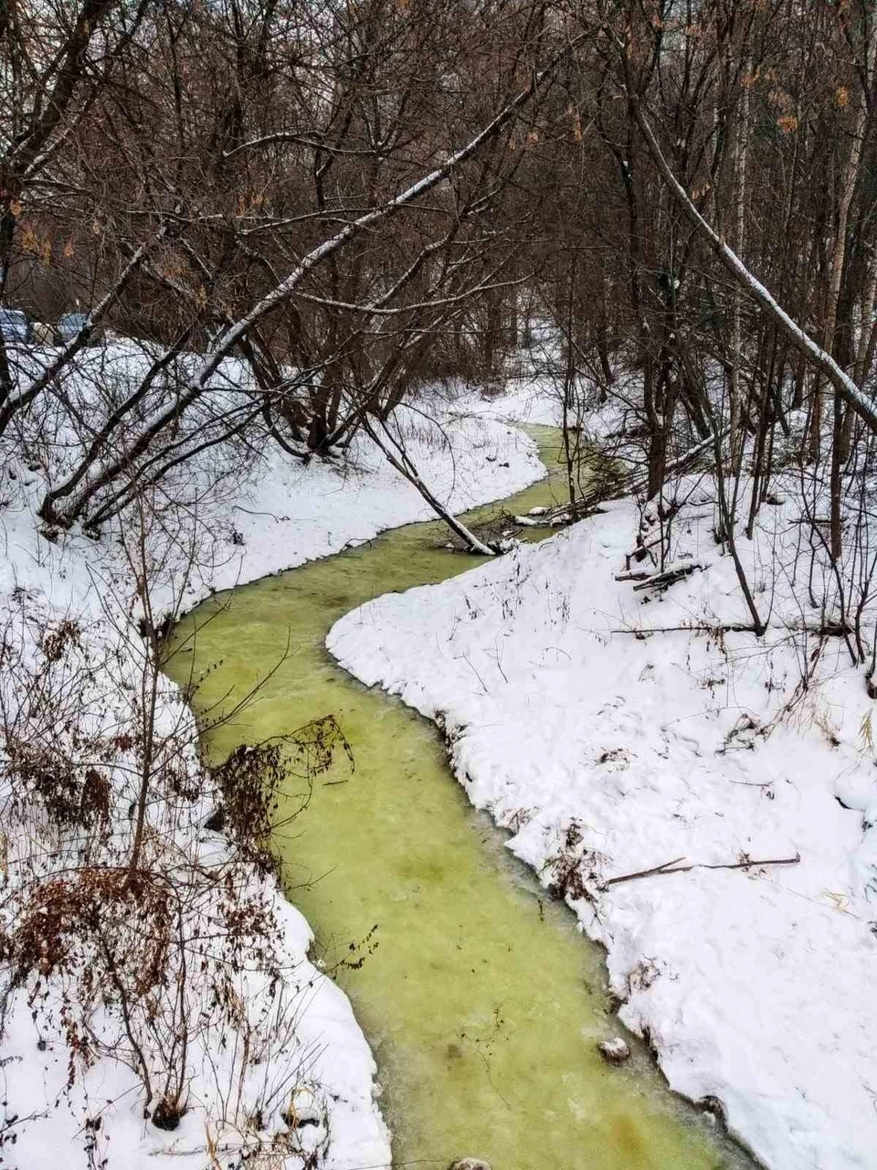 Почему вода в речке Карлутке в Ижевске поменяла цвет? Фото: Екатерина Ахкямиева