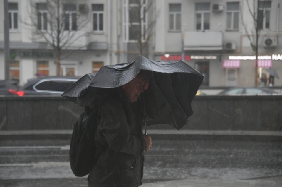 Во время урагана лучше не выходить на улицу