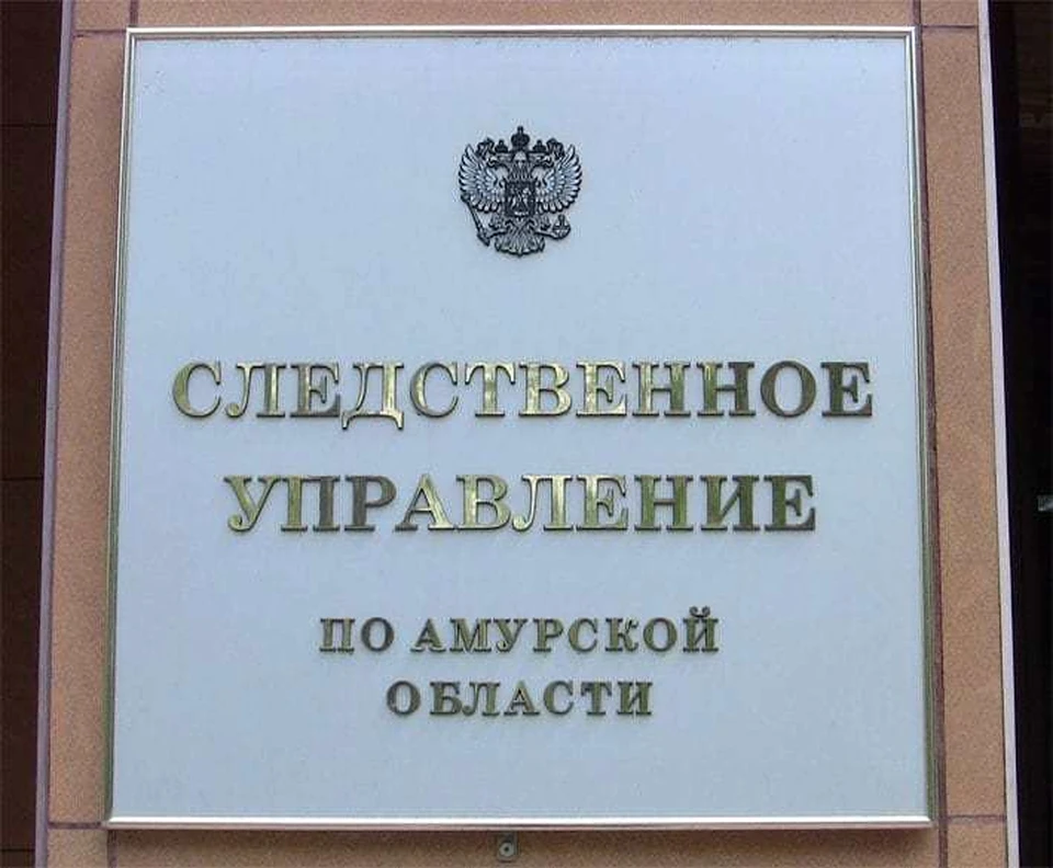 Тело пропавшей девушки нашли волонтеры Фото: следственное управление СК РФ по Амурской области
