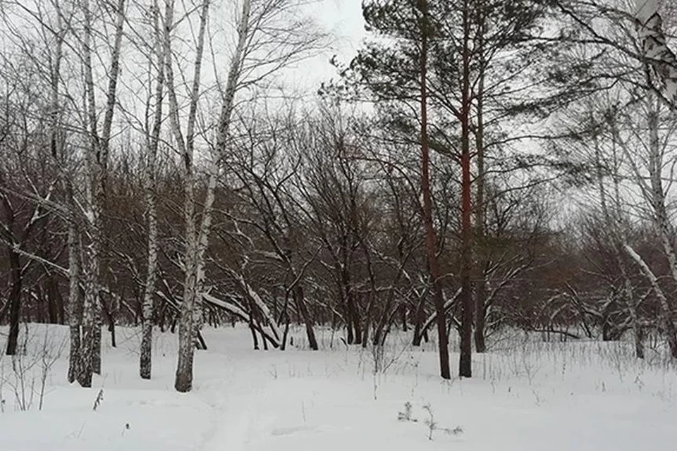 В опросе приняли участие 305 человек