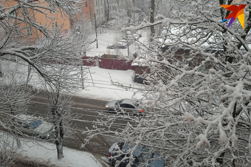 Мокрый снег налипает на провода и деревья.