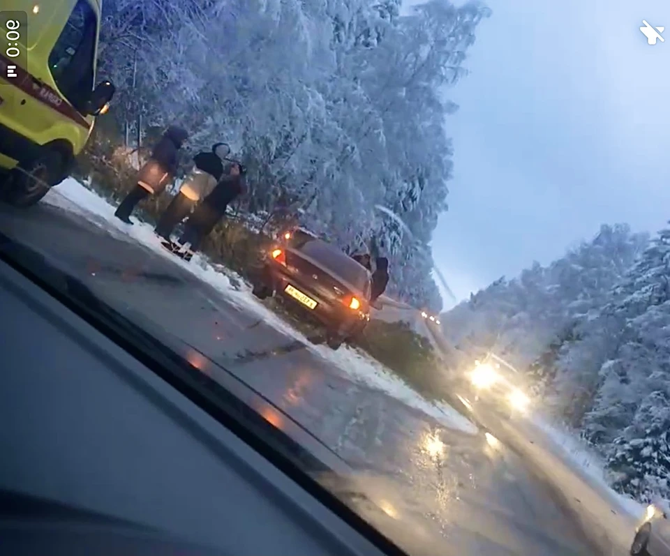 Под Тверью на автомобиль упала ель. Фото: кадр с видео VK.com/ «Подслушано у водителей. Тверь»/Александр Коновалов