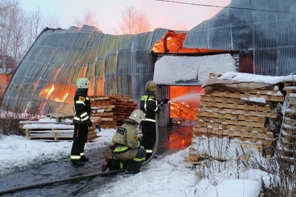 Пожар на мебельной фабрике в Раменском охватил восемь тысяч кв. метров. Фото: МЧС МО