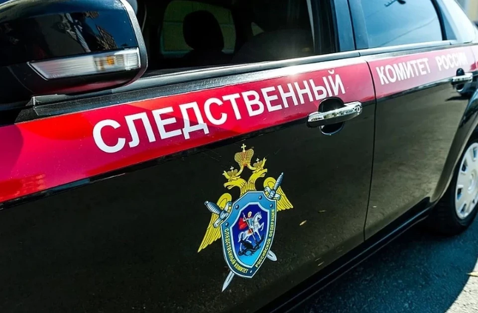 Два уголовных дела в отношении матери и бабашки убитой девочки соединены в одно производство.
