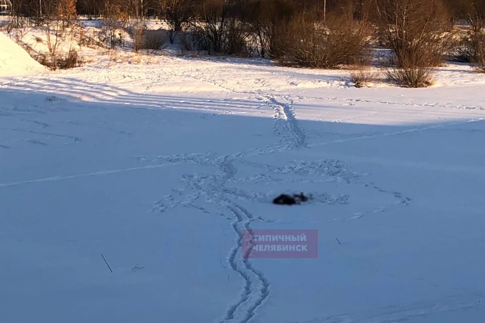 Мертвого мужчину нашли на льду Миасса. Фото: vk.com/«Типичный Челябинск»