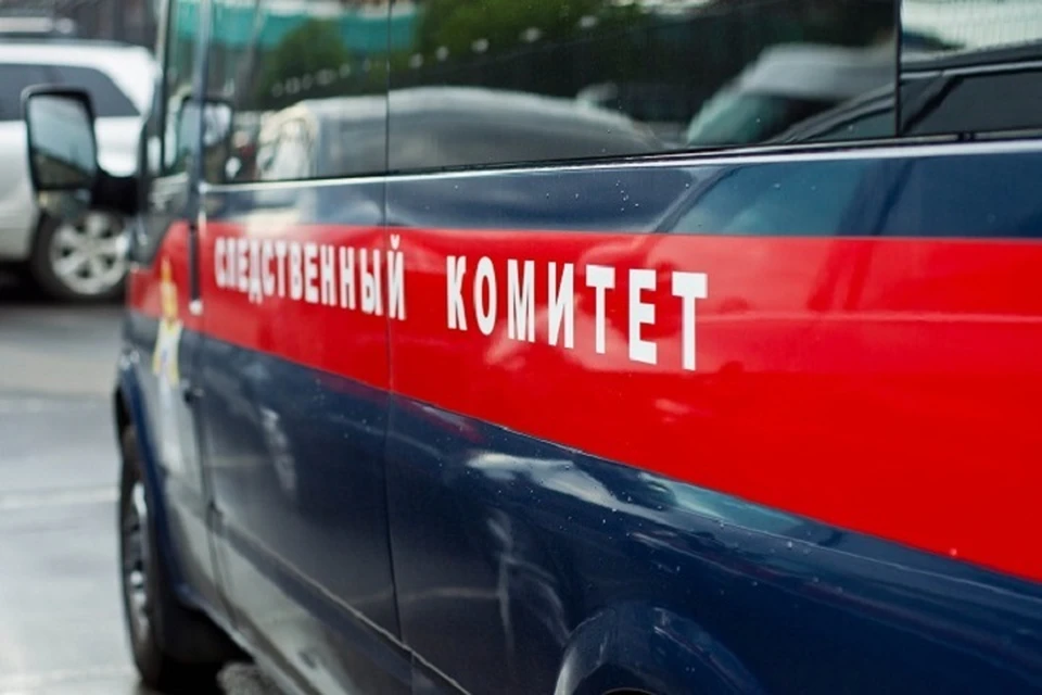 По факту смертельных наездов начаты доследственные проверки