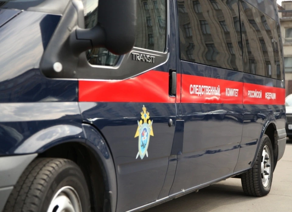 В Смоленской области бабушка в порыве гнева ранила внука. Фото: из архива СУ СК России по Смоленской области.