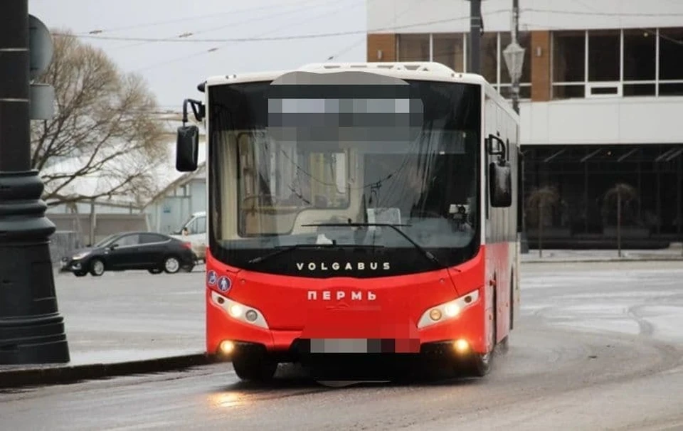 Мальчика без маски высадили из автобуса на мороз.