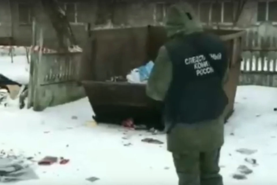 Тело убитой нашли в помойном контейнере Фото: СУ СК РФ по Тверской области