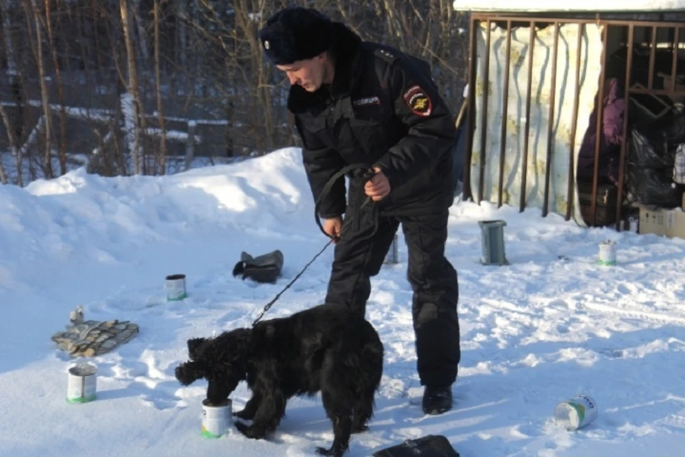 Полиция задержала фартового хранителя наркотиков в Хабаровском крае