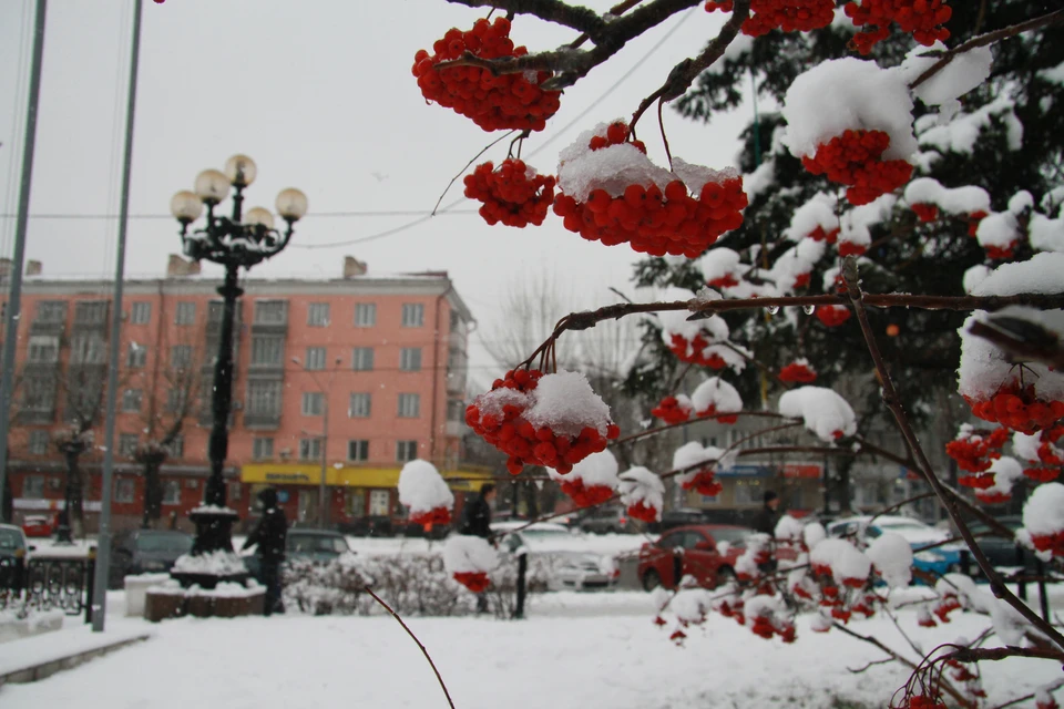 Погода в Алтайском крае с 1 по 7 февраля