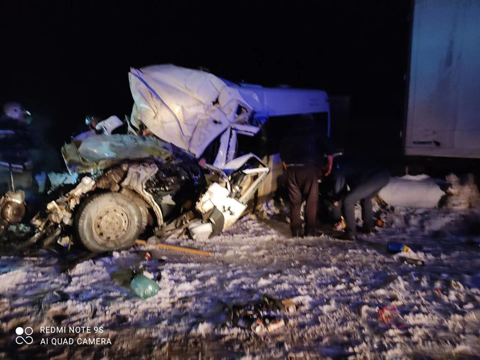 В аварии с микроавтобусом в Самарской области погибли люди. Фото: очевидцы