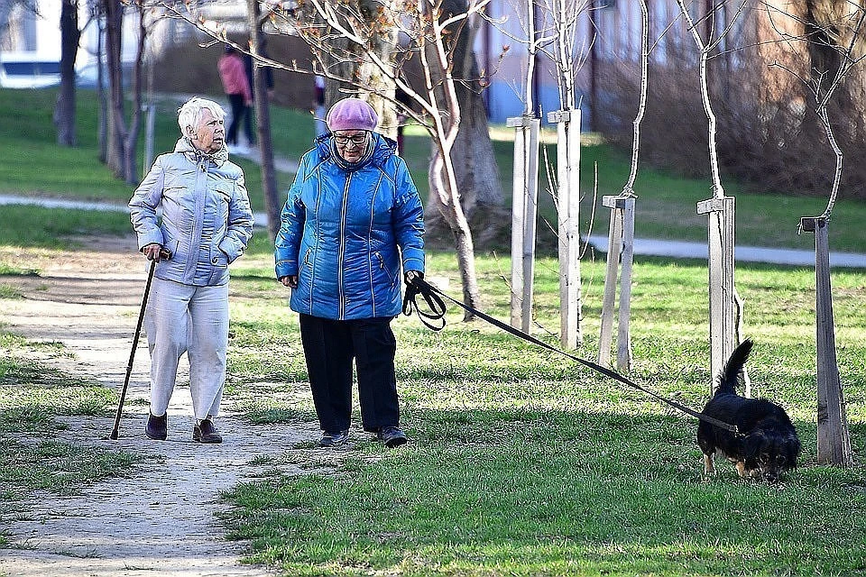 В Госдуме попросили правительство представить предложения по индексации пенсий