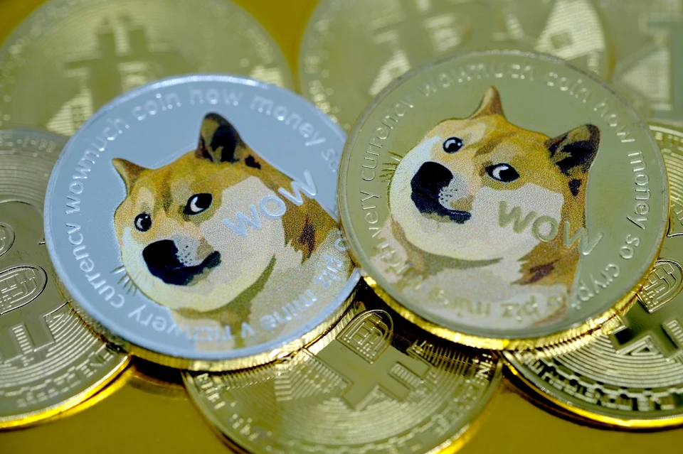 Криптовалюта Dogecoin выросла в цене в 1,5 раза после твита Илона Маска