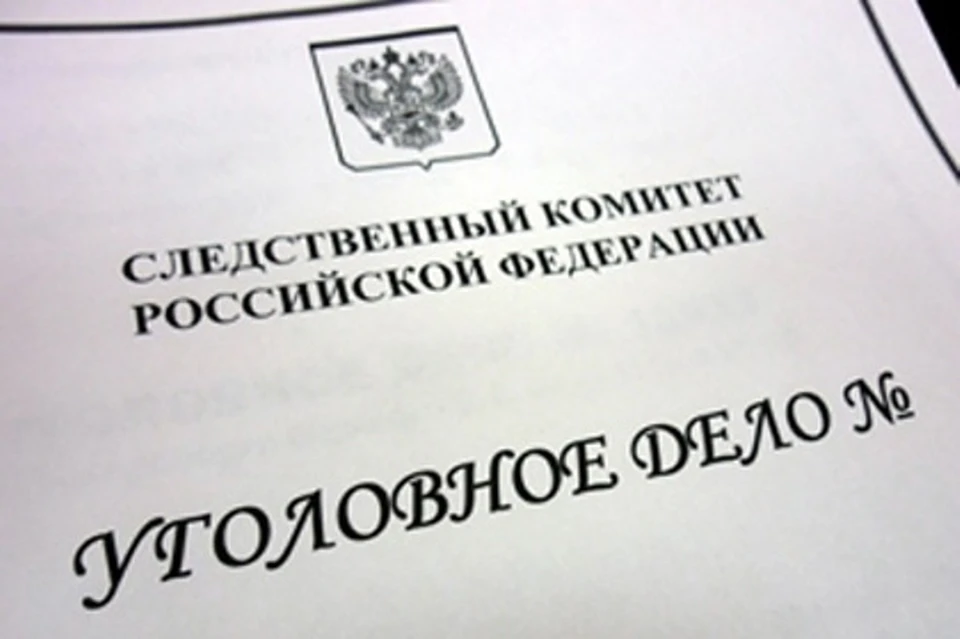 Женщине грозит срок