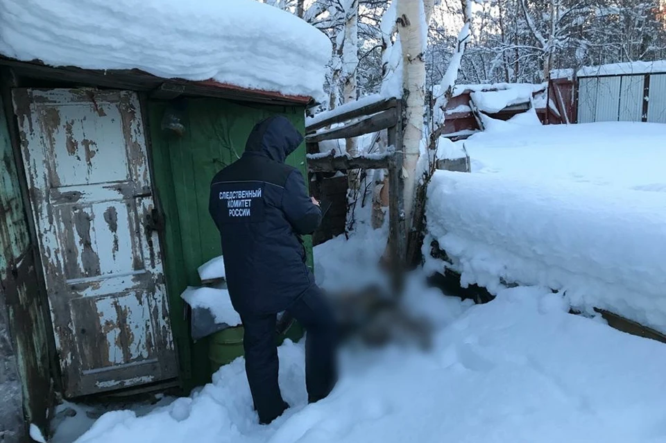 Волонтеры выходили на поиски пожилого мончегорца, не теряли надежду все выходные. Фото: СУ СКР по Мурманской области