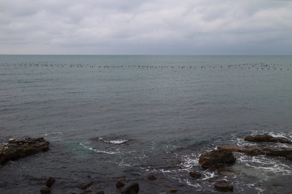 Температура воды в Черном море +7… +10°.