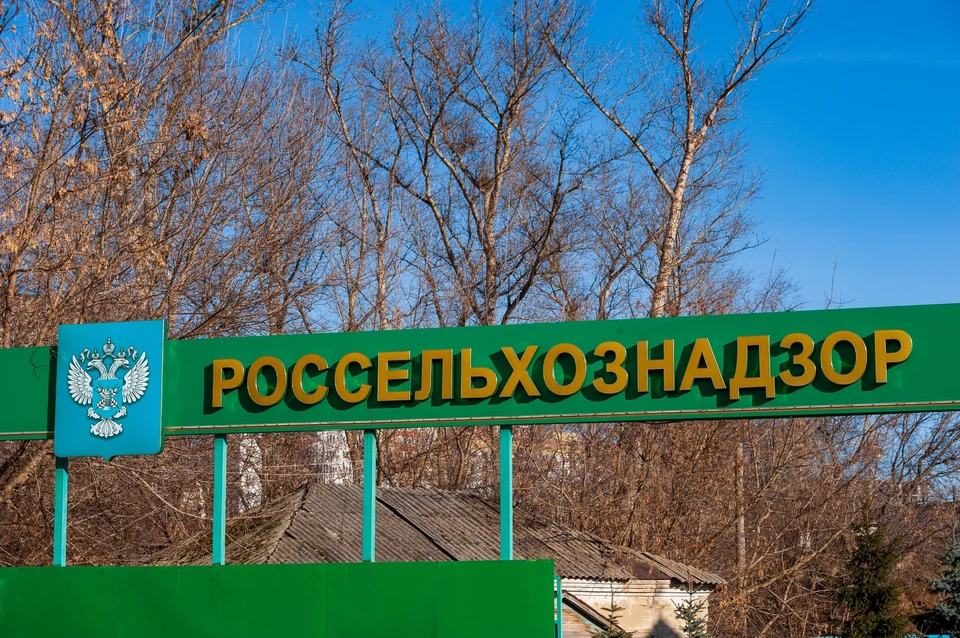 Орловскую агрофирму оштрафовали на 200 тысяч рублей и заставили убрать свалку
