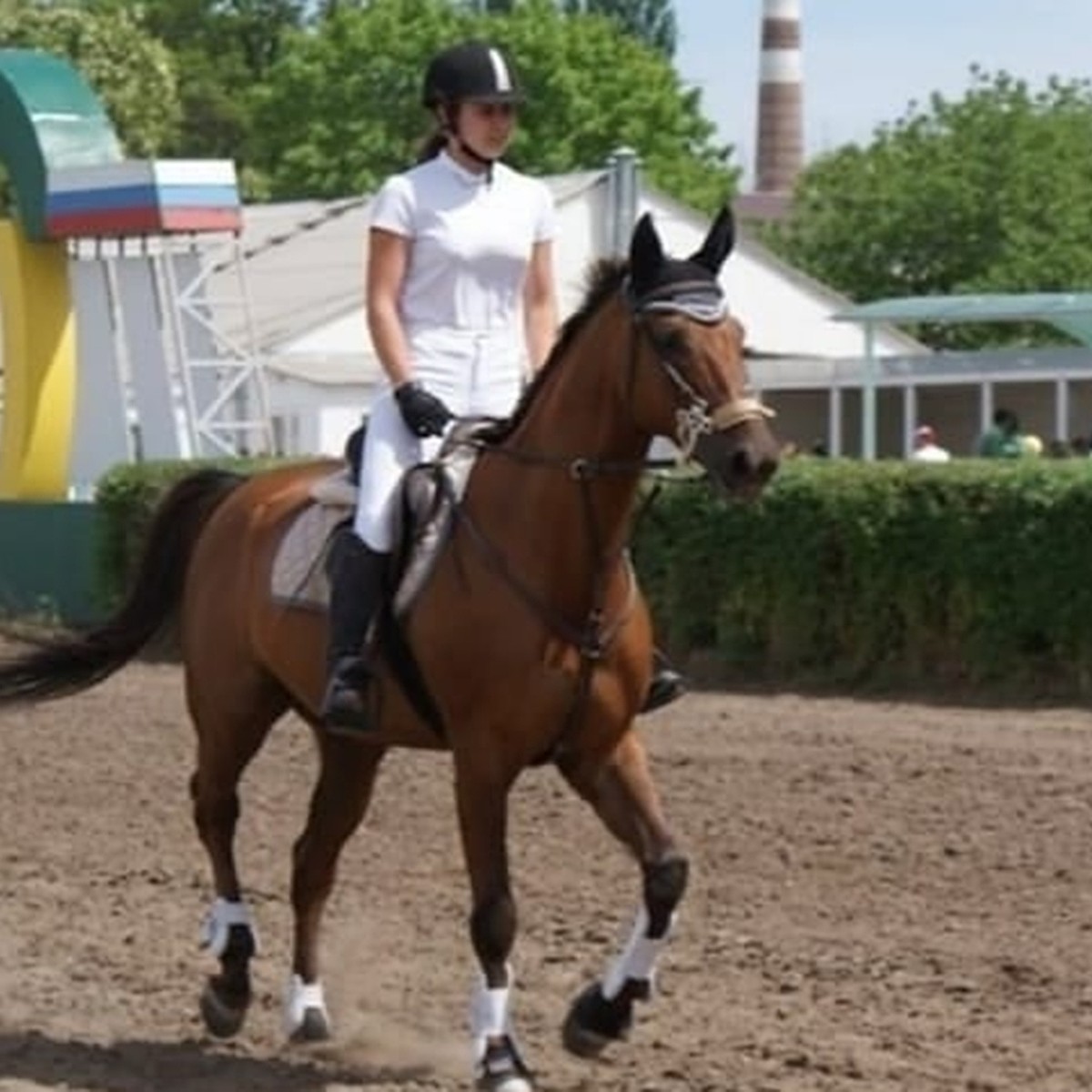 Нет больше Фаберже!»: ростовскую школу олимпийского резерва обвинили в  смерти коня - KP.RU