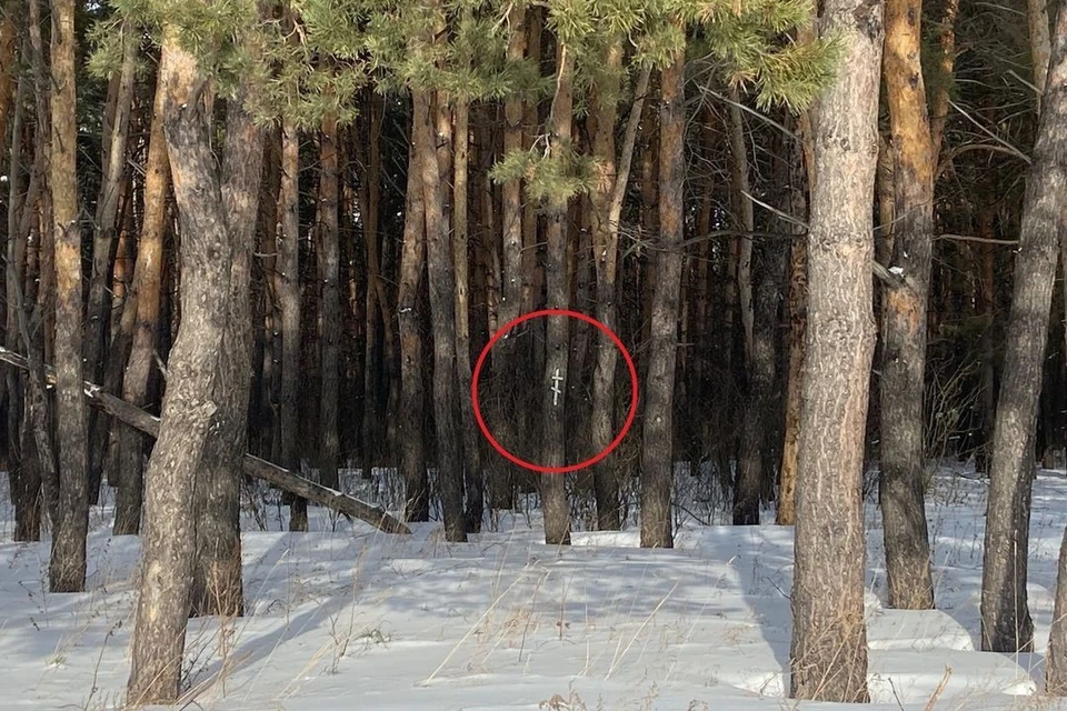 Сибиряки недоумевают, откуда крест мог там взяться. Фото: Евгений Кочкин