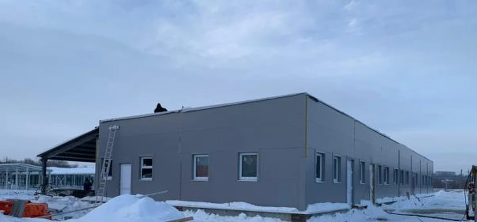 Собачий приют в Заводском районе Саратова