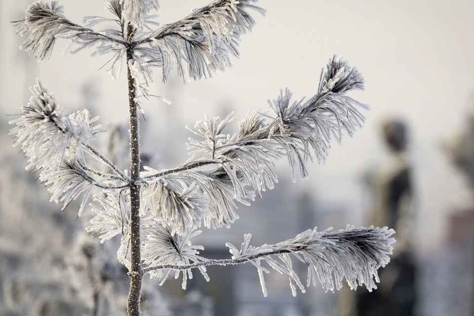 Погода в Иркутске: 17 февраля днем в городе до -3