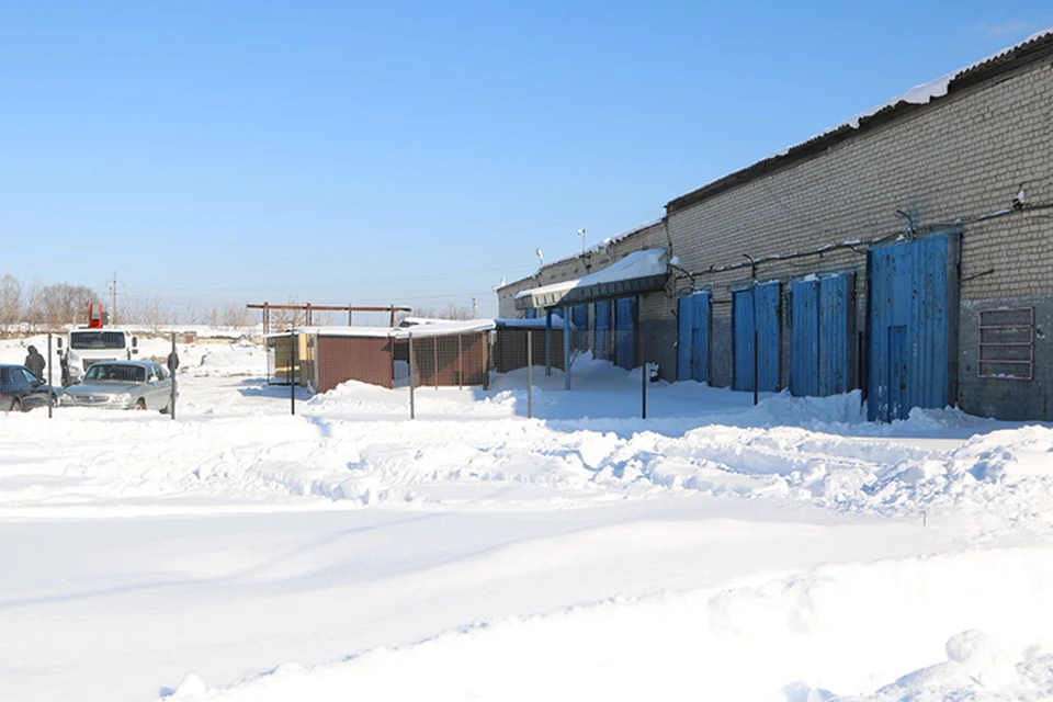 Фото: пресс-служба Брянской городской администрации.