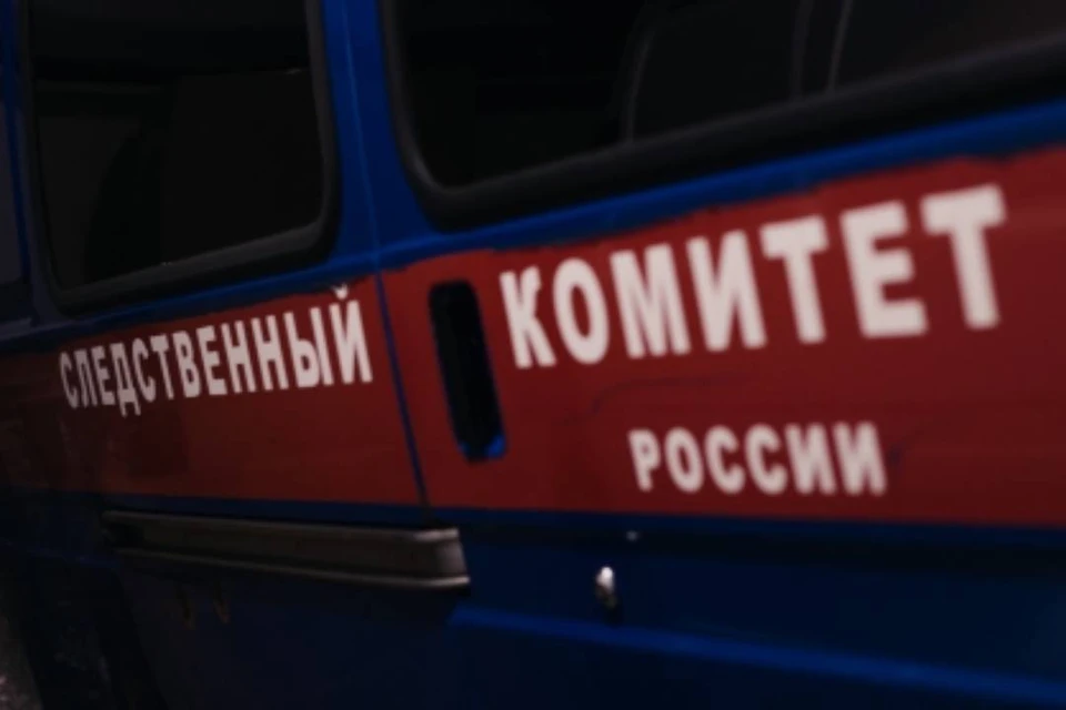 Представители Следственного комитета проводят проверки по обоим случаям. Фото: СУ СК России по Кировской области