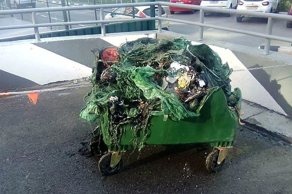 Пять баков сгорели в эти выходные. Фото: УО