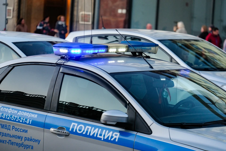 Поиски без вести пропавшего жителя Ленобласти завершились спустя 10 лет