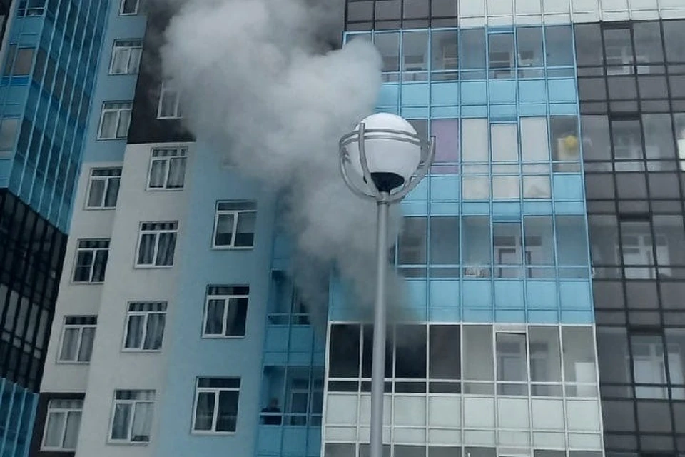 Мужчина погиб при пожаре в ЖК на Арцеуловской аллее. Фото: vk.com/nasha_kamenka