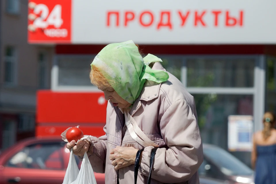 Эксперты ищут варианты, на каких условиях малоимущие россияне могут получить помощь от государства