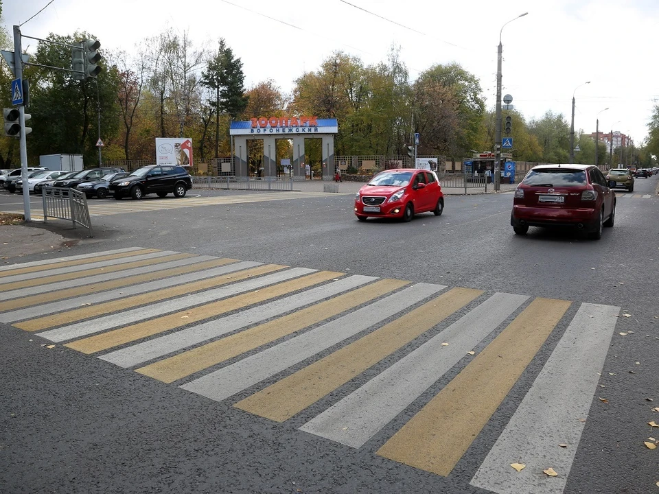 Фото предоставлено пресс-службой мэрии Воронежа